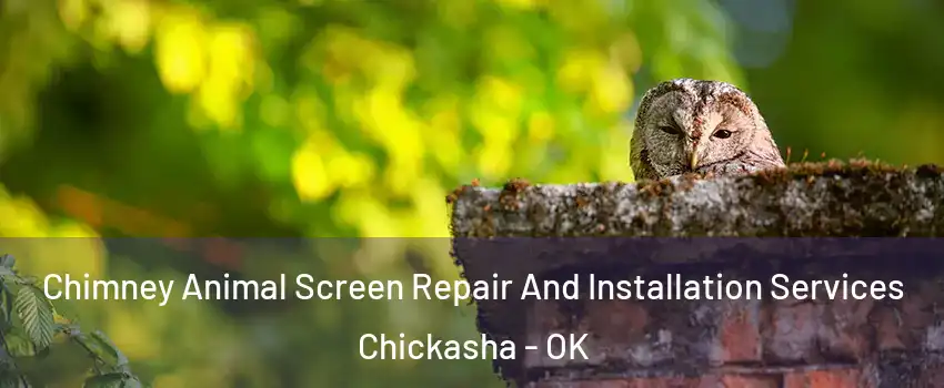 Chimney Animal Screen Repair And Installation Services Chickasha - OK